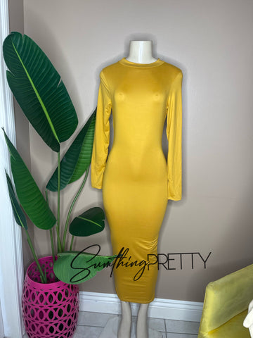 Bodycon Midi